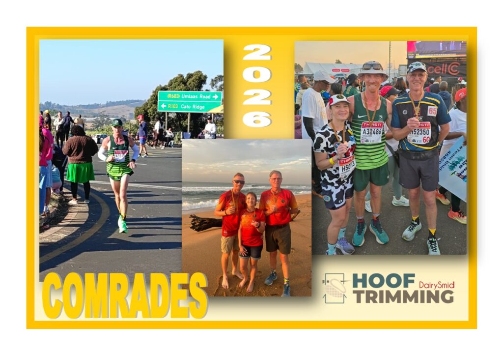 DairySmid Team Completes Comrades Marathon 2026
