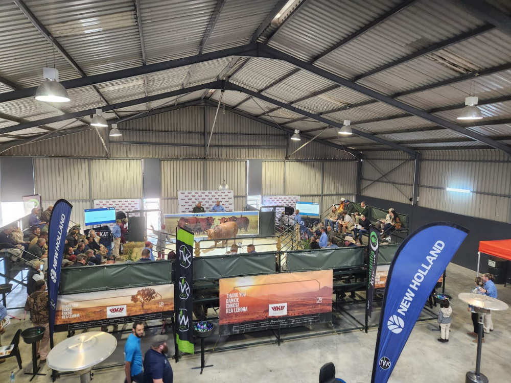 Hoof Trimming DairySmid Proud Sponsor at the Hirsaw Bovelder Production Auction 2026