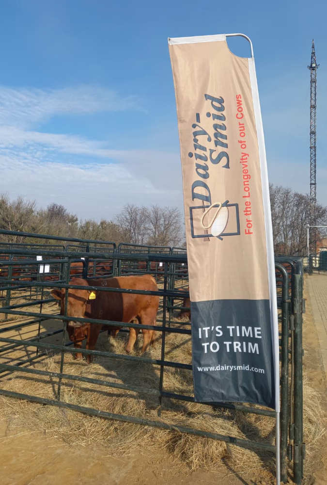 Hoof Trimming DairySmid Proud Sponsor at the Hirsaw Bovelder Production Auction 2026