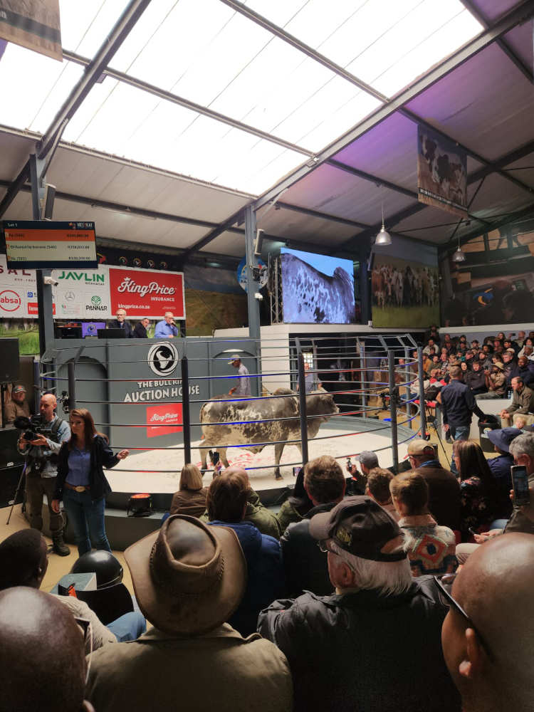 Hoof Trimming DairySmid Sponsors Hurwitz Farming 12th Production Auction